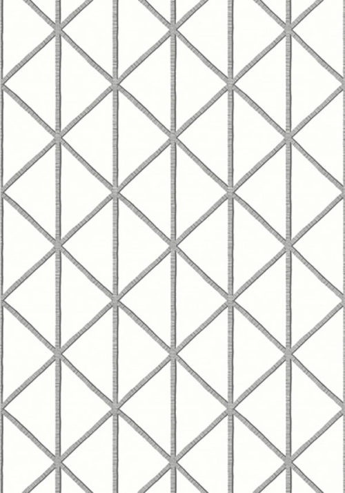 BOX KITE T10134
